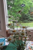 Enlarge photo 18