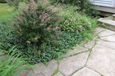 Enlarge photo 25