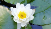 Enlarge photo 28