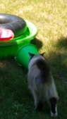 Enlarge photo 29
