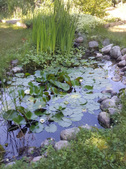 Enlarge photo 29