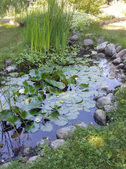 Enlarge photo 30