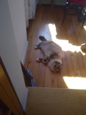 Enlarge photo 3