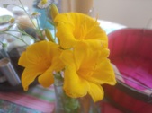 Enlarge photo 19