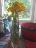 Enlarge photo 21
