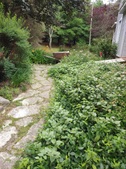 Enlarge photo 25