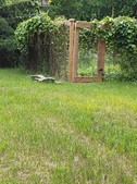 Enlarge photo 23