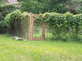 Enlarge photo 21