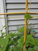 Enlarge photo 17