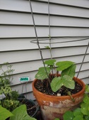 Enlarge photo 16