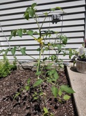 Enlarge photo 34