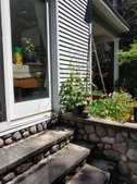 Enlarge photo 33
