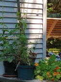 Enlarge photo 28