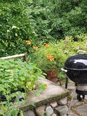 Enlarge photo 13