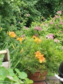 Enlarge photo 12