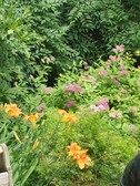 Enlarge photo 14