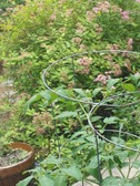 Enlarge photo 17