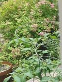 Enlarge photo 18