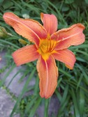Enlarge photo 23