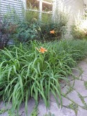 Enlarge photo 25