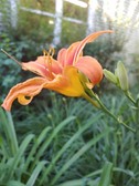 Enlarge photo 28