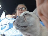 Enlarge photo 6