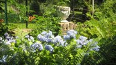 Enlarge photo 5