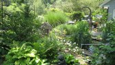 Enlarge photo 14