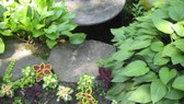 Enlarge photo 15