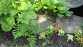 Enlarge photo 16