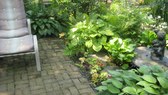 Enlarge photo 18
