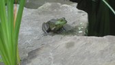 Enlarge photo 24