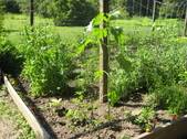 Enlarge photo 23