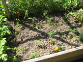 Enlarge photo 20