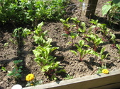 Enlarge photo 19