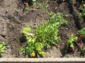 Enlarge photo 12