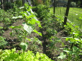 Enlarge photo 9