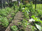 Enlarge photo 8