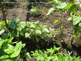 Enlarge photo 3