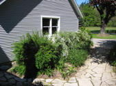 Enlarge photo 5