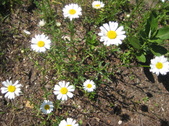Enlarge photo 25