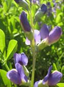 Enlarge photo 26