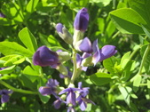 Enlarge photo 27
