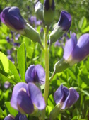 Enlarge photo 28
