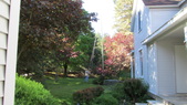 Enlarge photo 1