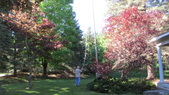 Enlarge photo 2