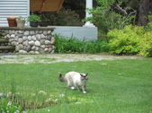 Enlarge photo 13