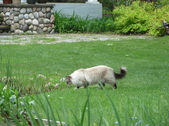 Enlarge photo 14