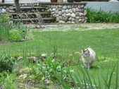Enlarge photo 15