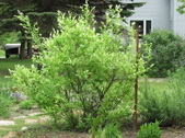 Enlarge photo 26